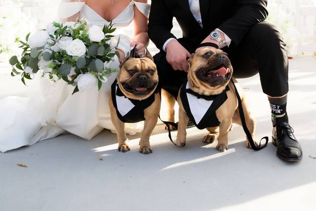 Nashville bride