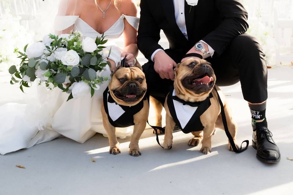Nashville bride