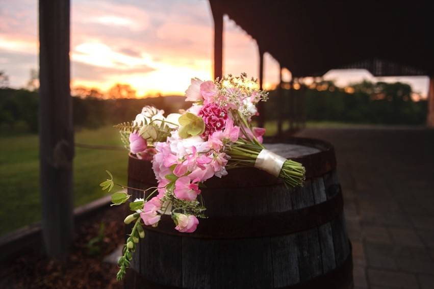 Erika Ashby Photography