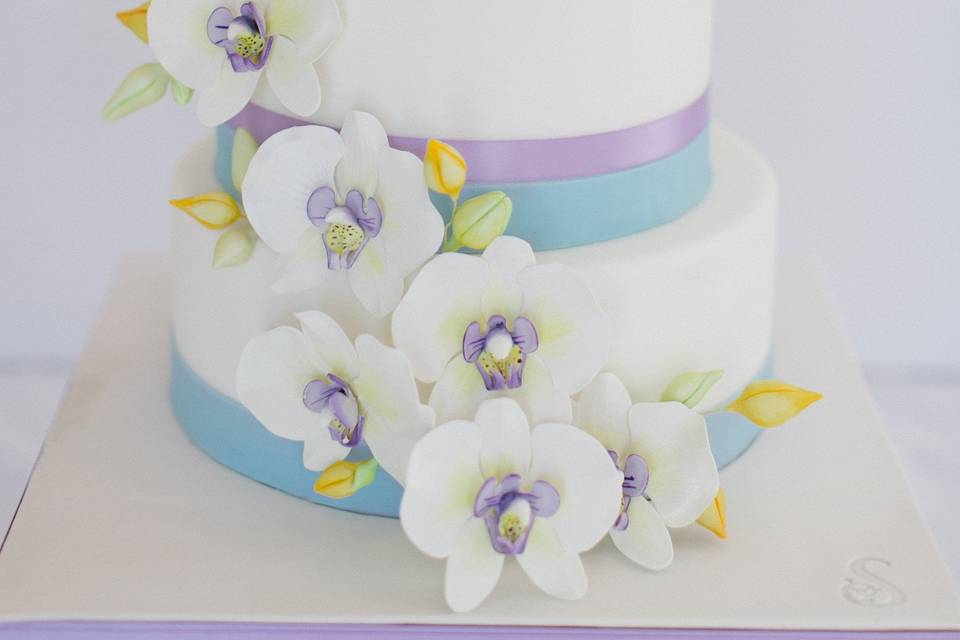 Sweet Tales Cake Boutique