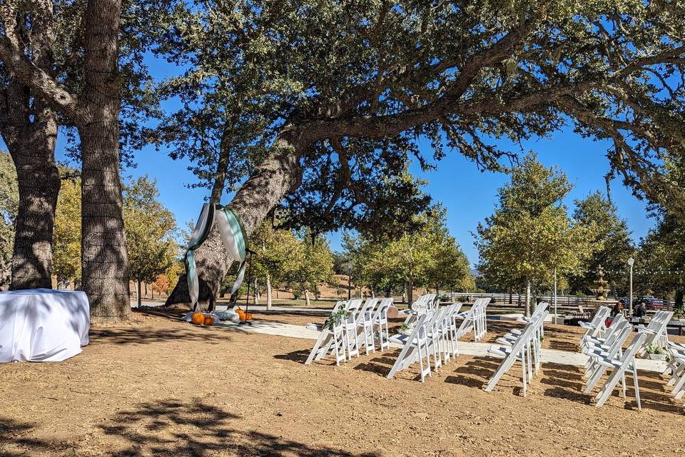 Ceremony View