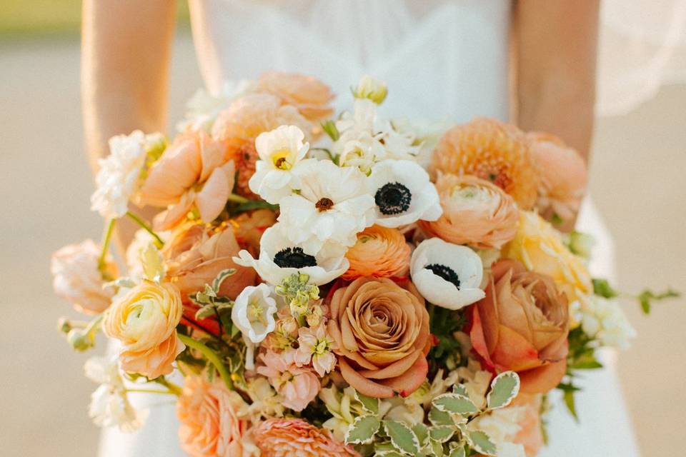 San Luis Obispo Wedding
