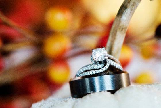 CJ Gonzalez Photography