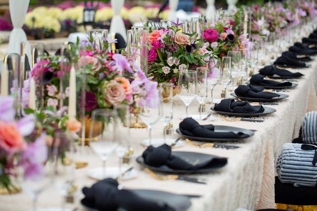 Pavone Design Studios