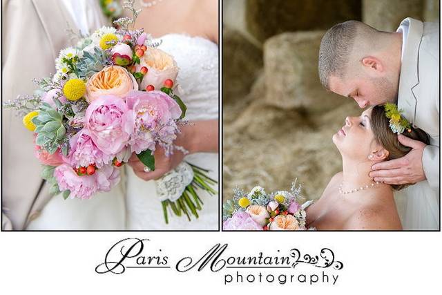 Paris Mountain Photography
