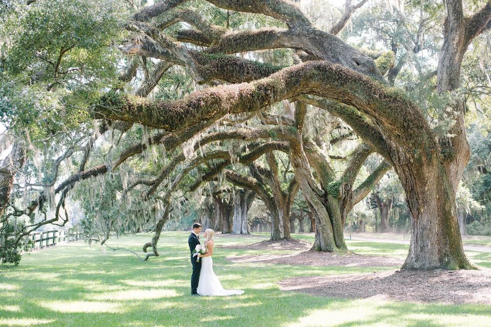 Charleston Area Weddings, Boone Hall Plantation