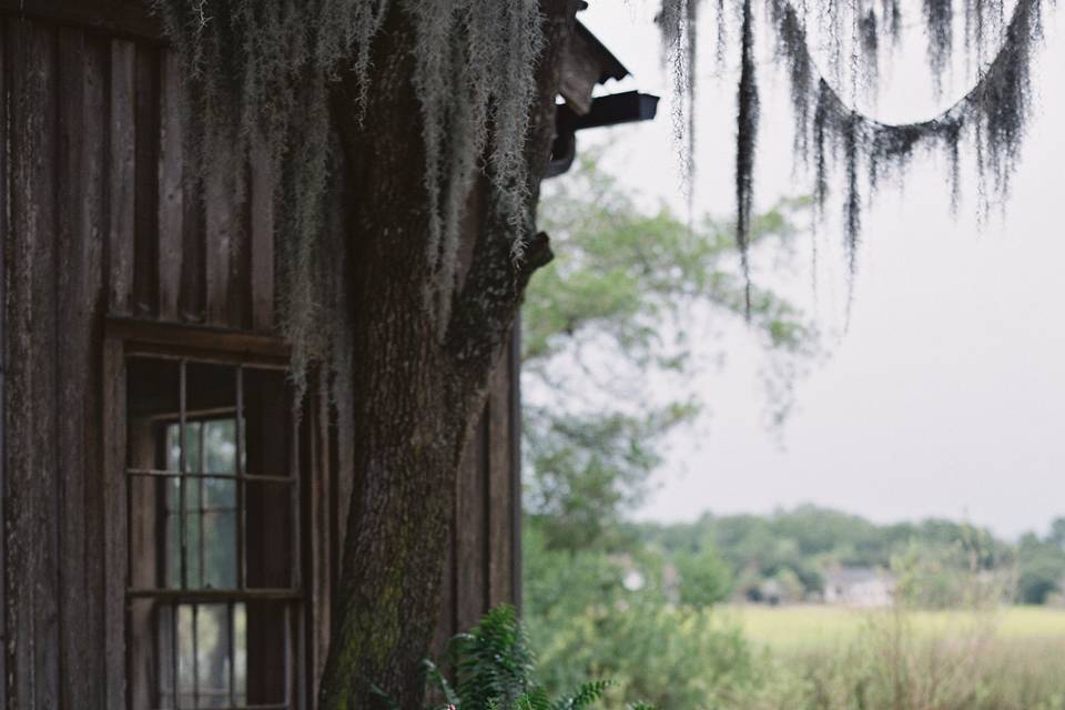 Boone Hall Plantation