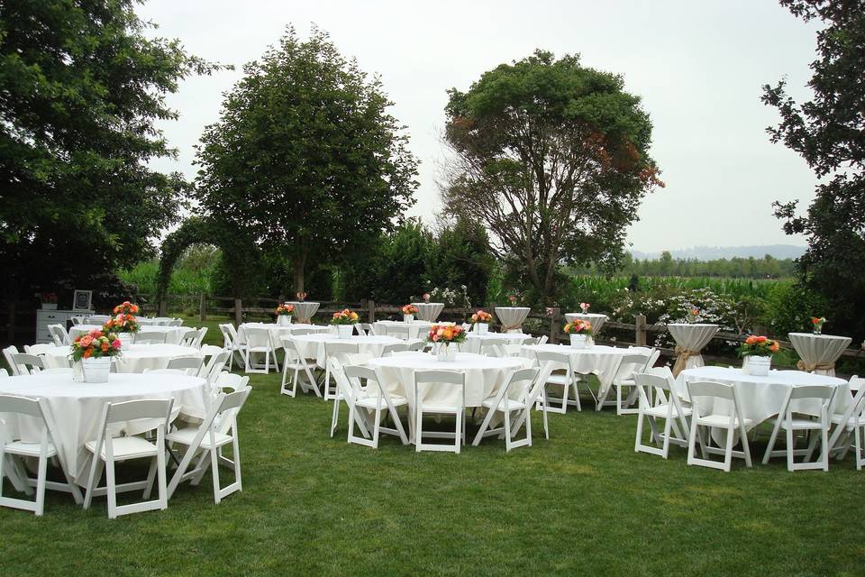 Outdoor Wedding Reception