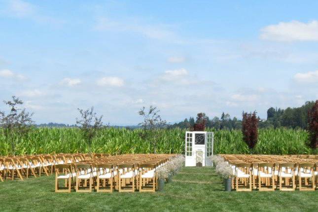Large Outdoor Ceremony
