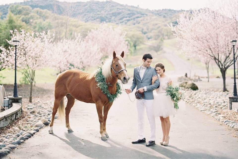 Jessica Kay Photography