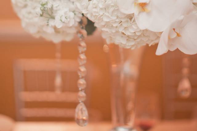 Expressions of Decor