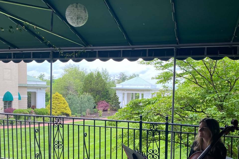 5/9/26