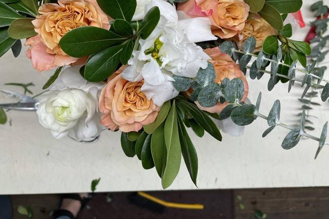 Wild Ivy: Florist Whangarei, Fresh Flowers, Same Day Delivery