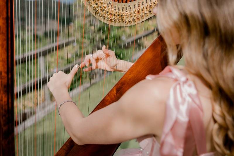 Cielo Farms Ambiance Harpist
