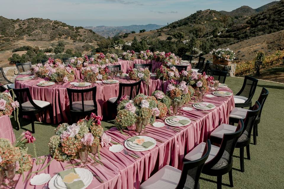 Cielo Farms Reception Details