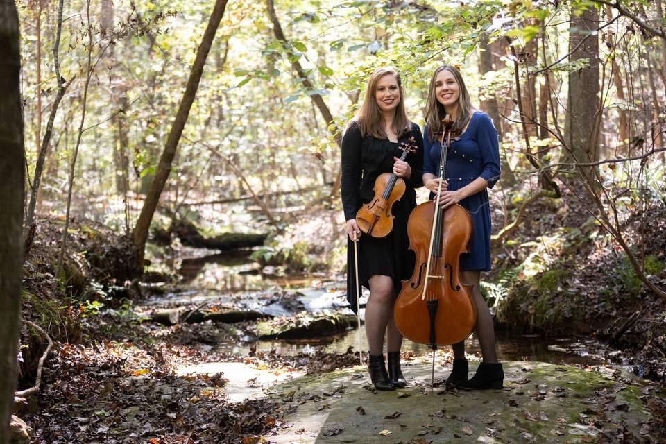 Cello and violin