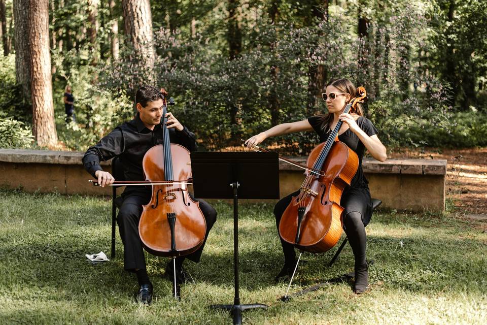 Cello duo