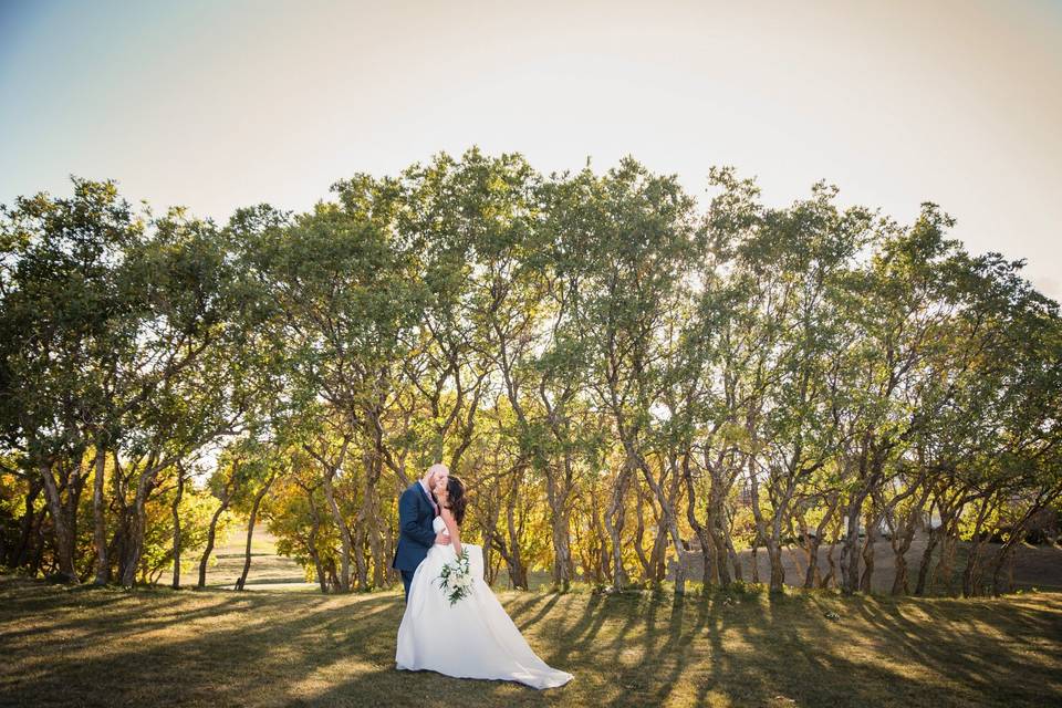 Oak Tree Backdrop