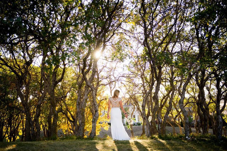 Bridal portrait