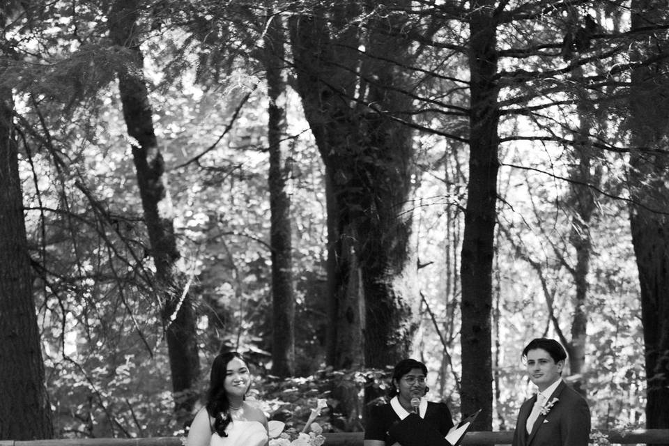 Outdoor Wedding