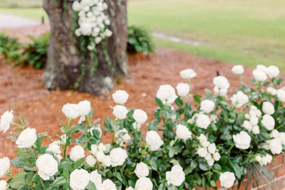 White Romantic Garden