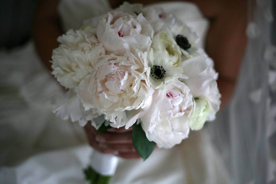 White peonies