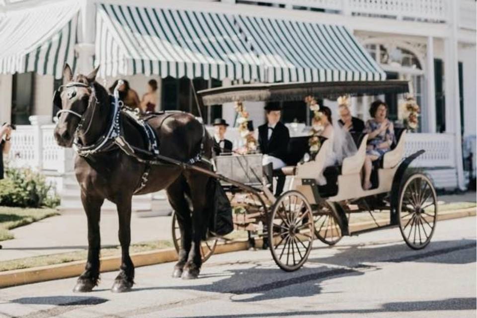 Horse and buggy arrival