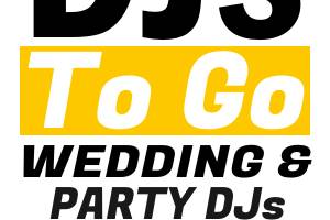 DjsToGo Fun Weddings & Party Djs