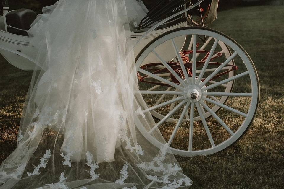 Beautiful Fall Bride