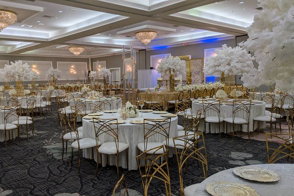 Reception 1