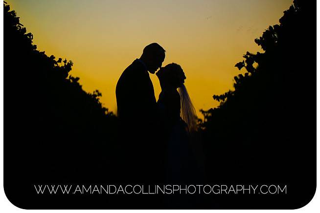 Amanda Collins Photography