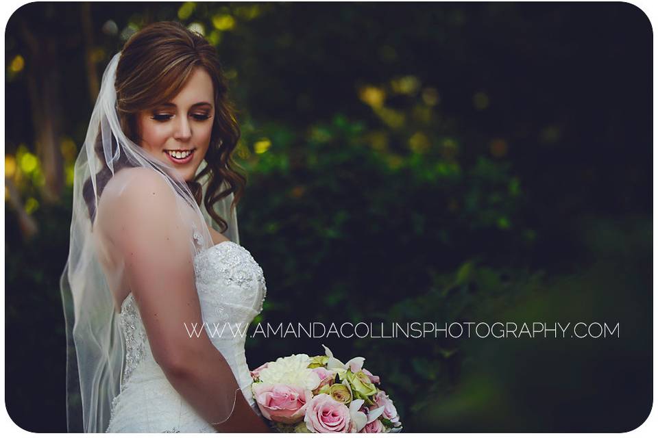 Amanda Collins Photography