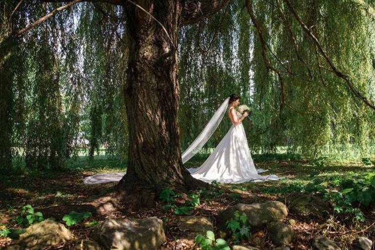 Bride portrait