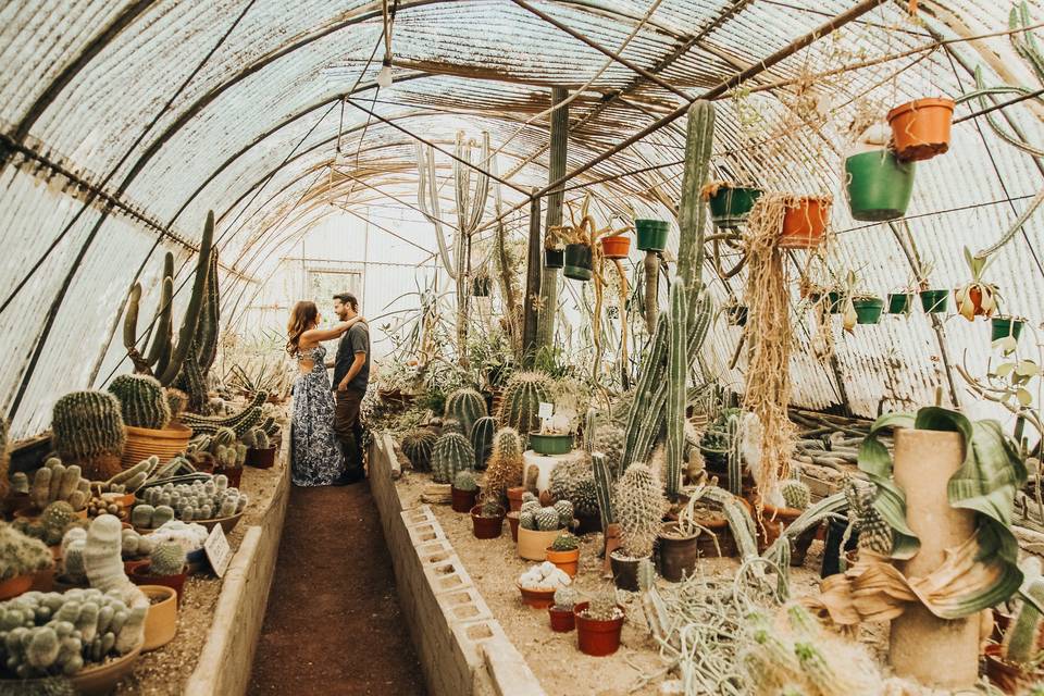 Greenhouses