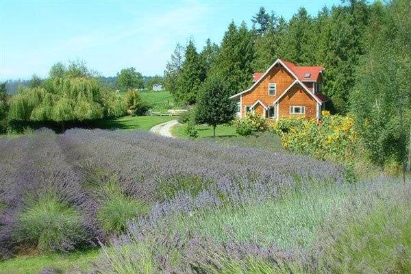 The vacation rental house offers a perfect romantic retreat for honeymooners.