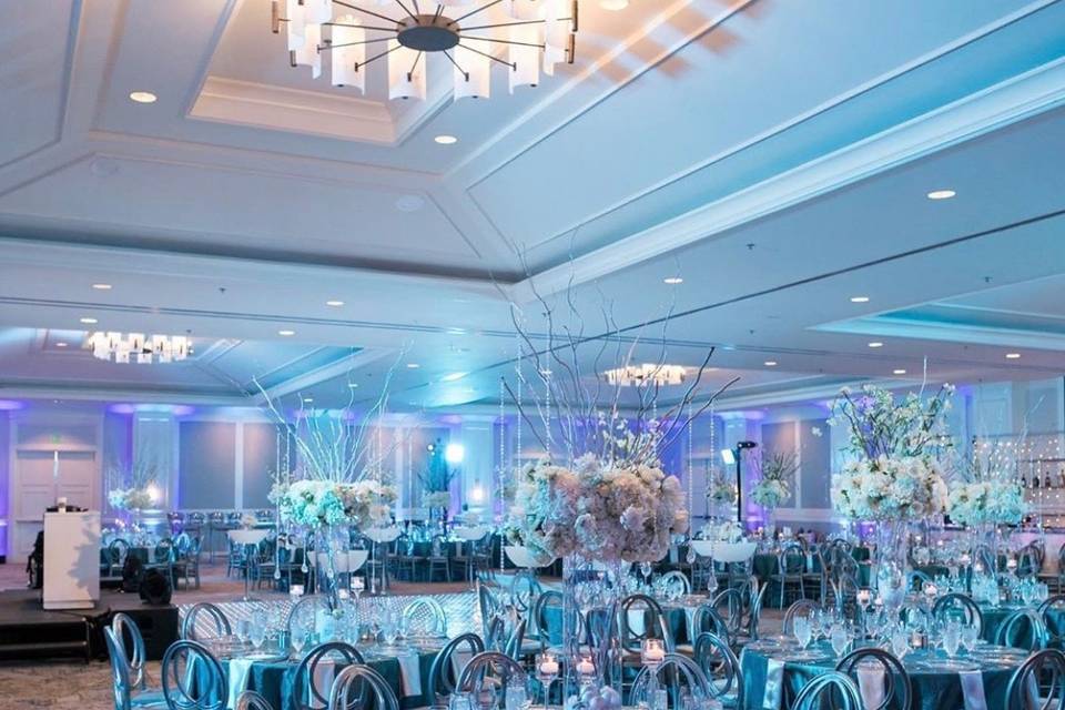 Phoenix silver chiavari