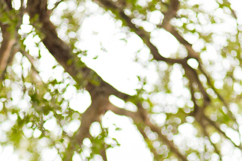 Ospina Photography Inc.