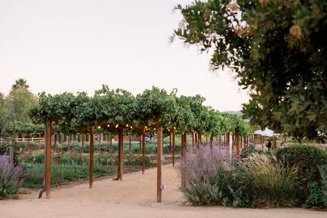 Wine Makers Pergola