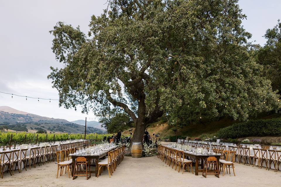 Oak Tree Reception