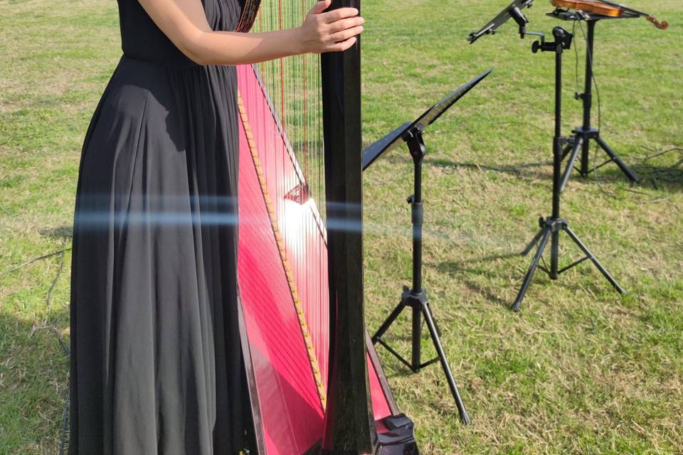 Harp & violin