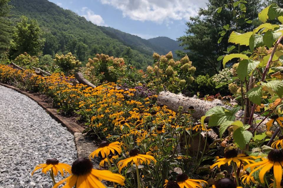 Entry court landscape