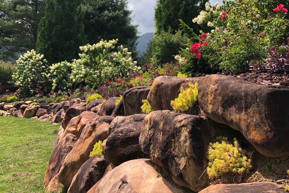Rocks and flowers