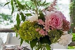 Willow Oak Flower and Herb Farm