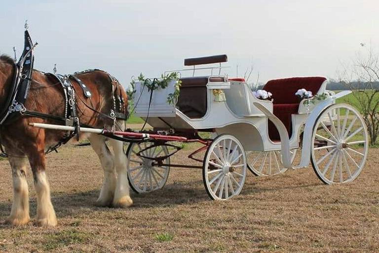 Horse and carriage