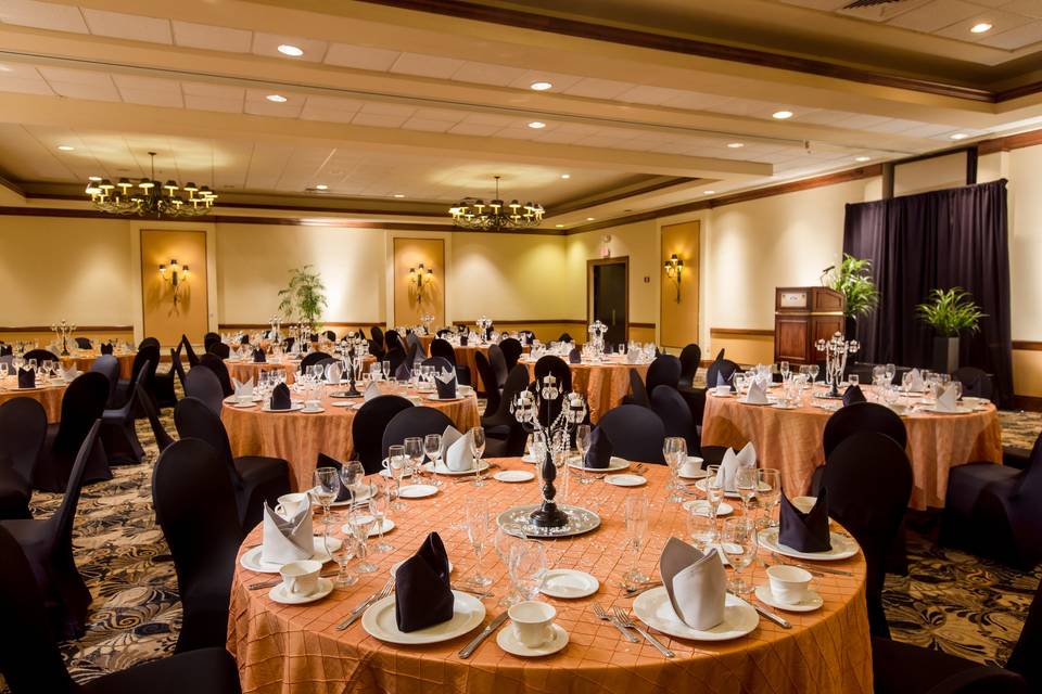 Venues & Foodservice - Ball