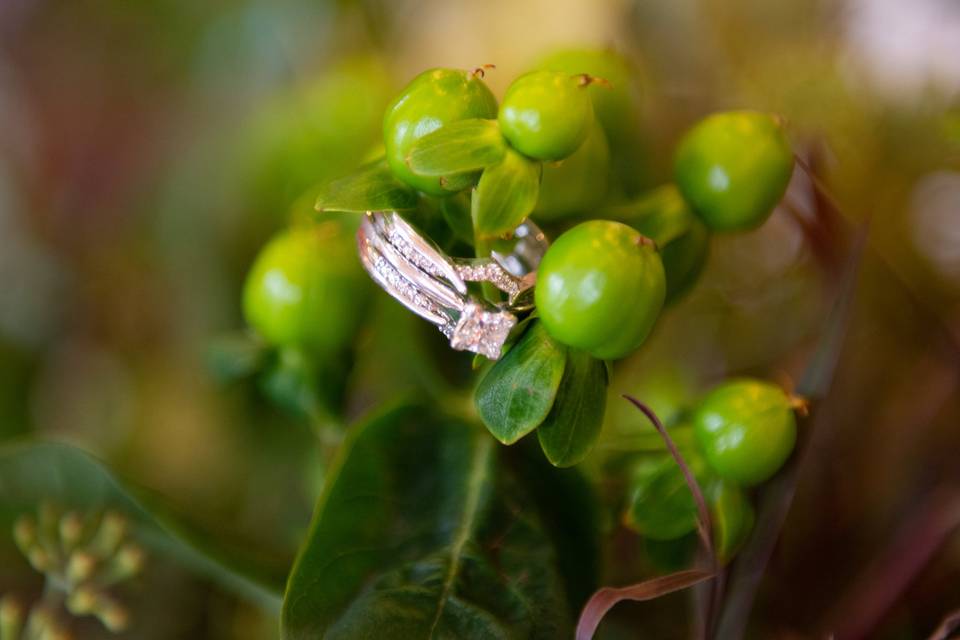 Rings up close - Capture Thee Moments Photography