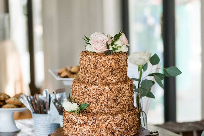 Toasted coconut cake