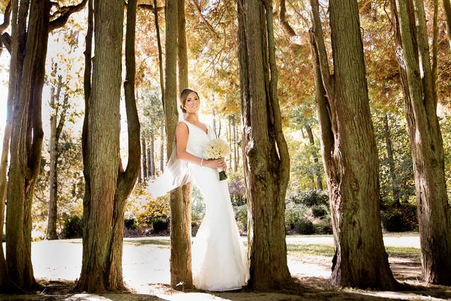 Daniel Fullam Photography