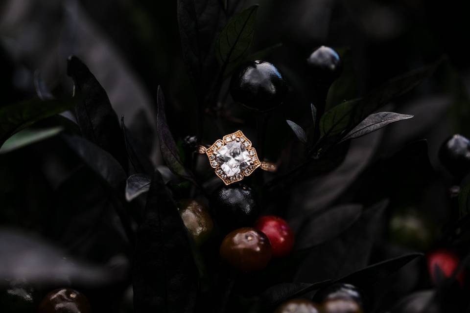 Juneberry Media