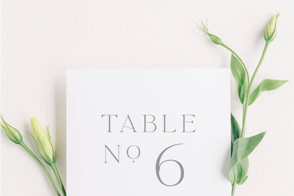 Modern Table Number